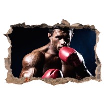 Vinilos 3d boxeo
